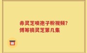 赤灵芝喷孢子粉视频？傅筹摘灵芝第几集