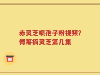 赤灵芝喷孢子粉视频？傅筹摘灵芝第几集