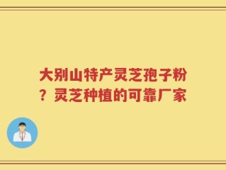 大别山特产灵芝孢子粉？灵芝种植的可靠厂家