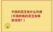 不同的灵芝有什么作用(不同种类的灵芝有哪些功效？)