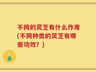 不同的灵芝有什么作用(不同种类的灵芝有哪些功效？)
