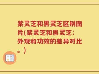 紫灵芝和黑灵芝区别图片(紫灵芝和黑灵芝：外观和功效的差异对比。)