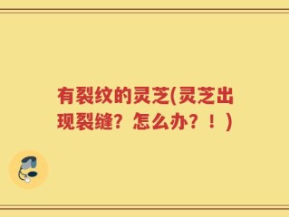 有裂纹的灵芝(灵芝出现裂缝？怎么办？！)