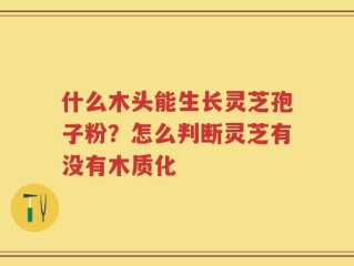 什么木头能生长灵芝孢子粉？怎么判断灵芝有没有木质化