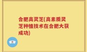 合肥高灵芝(高素质灵芝种植技术在合肥大获成功)