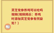 灵芝党参养鸡可以吃吗视频(视频揭示：养鸡时添加灵芝党参有何益处？)