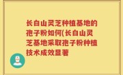 长白山灵芝种植基地的孢子粉如何(长白山灵芝基地采取孢子粉种植技术成效显著