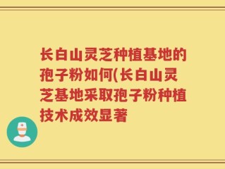 长白山灵芝种植基地的孢子粉如何(长白山灵芝基地采取孢子粉种植技术成效显著