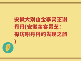 安徽大别山金寨灵芝谢丹丹(安徽金寨灵芝：探访谢丹丹的发现之旅)