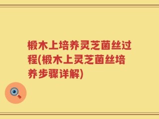 椴木上培养灵芝菌丝过程(椴木上灵芝菌丝培养步骤详解)