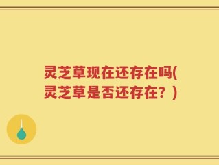 灵芝草现在还存在吗(灵芝草是否还存在？)