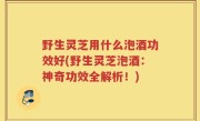 野生灵芝用什么泡酒功效好(野生灵芝泡酒：神奇功效全解析！)