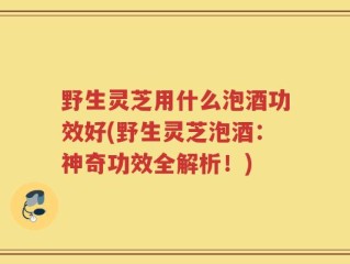 野生灵芝用什么泡酒功效好(野生灵芝泡酒：神奇功效全解析！)