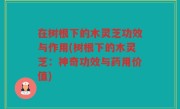 在树根下的木灵芝功效与作用(树根下的木灵芝：神奇功效与药用价值)