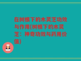 在树根下的木灵芝功效与作用(树根下的木灵芝：神奇功效与药用价值)