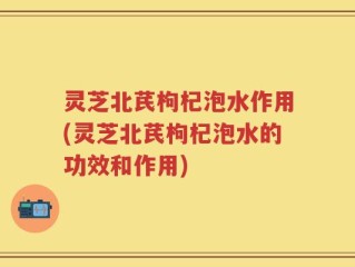 灵芝北芪枸杞泡水作用(灵芝北芪枸杞泡水的功效和作用)