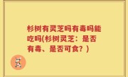 杉树有灵芝吗有毒吗能吃吗(杉树灵芝：是否有毒、是否可食？)