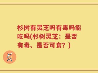杉树有灵芝吗有毒吗能吃吗(杉树灵芝：是否有毒、是否可食？)