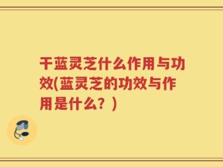干蓝灵芝什么作用与功效(蓝灵芝的功效与作用是什么？)