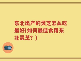 东北出产的灵芝怎么吃最好(如何最佳食用东北灵芝？)
