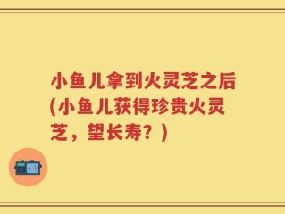 小鱼儿拿到火灵芝之后(小鱼儿获得珍贵火灵芝，望长寿？)