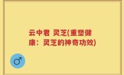 云中君 灵芝(重塑健康：灵芝的神奇功效)