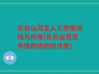 长白山灵芝人工养殖功效与作用(长白山灵芝养殖的功效和作用)