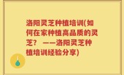 洛阳灵芝种植培训(如何在家种植高品质的灵芝？ ——洛阳灵芝种植培训经验分享)