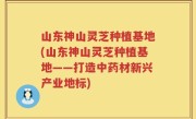 山东神山灵芝种植基地(山东神山灵芝种植基地——打造中药材新兴产业地标)