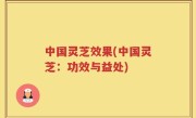 中国灵芝效果(中国灵芝：功效与益处)