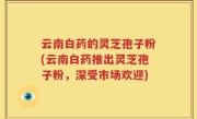 云南白药的灵芝孢子粉(云南白药推出灵芝孢子粉，深受市场欢迎)