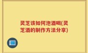 灵芝该如何泡酒喝(灵芝酒的制作方法分享)
