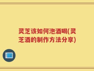 灵芝该如何泡酒喝(灵芝酒的制作方法分享)