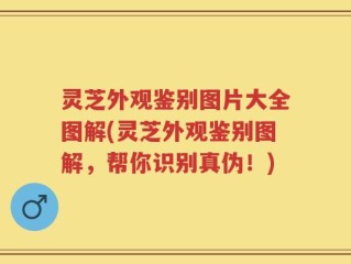灵芝外观鉴别图片大全图解(灵芝外观鉴别图解，帮你识别真伪！)