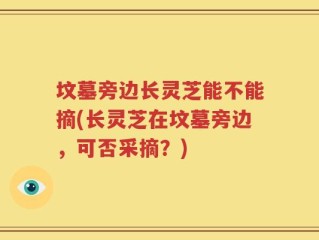 坟墓旁边长灵芝能不能摘(长灵芝在坟墓旁边，可否采摘？)