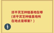 遂平灵芝种植基地在哪(遂平灵芝种植基地所在地点是哪里？)