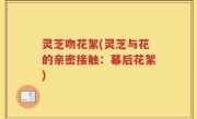 灵芝吻花絮(灵芝与花的亲密接触：幕后花絮)