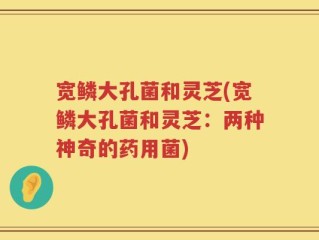 宽鳞大孔菌和灵芝(宽鳞大孔菌和灵芝：两种神奇的药用菌)