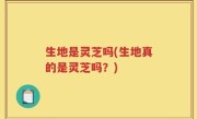 生地是灵芝吗(生地真的是灵芝吗？)