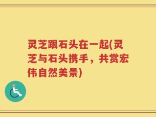 灵芝跟石头在一起(灵芝与石头携手，共赏宏伟自然美景)