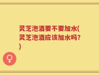 灵芝泡酒要不要加水(灵芝泡酒应该加水吗？)