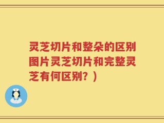 灵芝切片和整朵的区别图片灵芝切片和完整灵芝有何区别？)