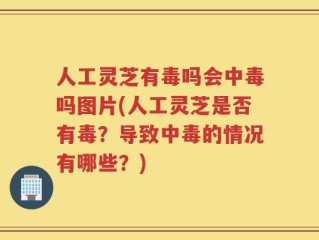 人工灵芝有毒吗会中毒吗图片(人工灵芝是否有毒？导致中毒的情况有哪些？)