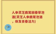人参灵芝鹿茸回春草泡酒(灵芝人参鹿茸泡酒，焕发青春活力)