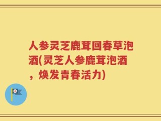 人参灵芝鹿茸回春草泡酒(灵芝人参鹿茸泡酒，焕发青春活力)