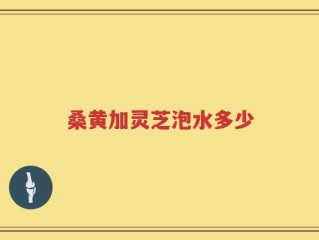 桑黄加灵芝泡水多少