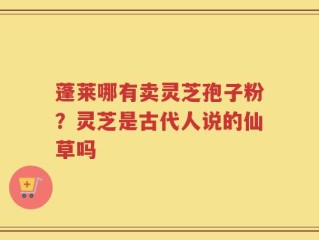蓬莱哪有卖灵芝孢子粉？灵芝是古代人说的仙草吗