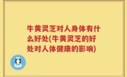 牛黄灵芝对人身体有什么好处(牛黄灵芝的好处对人体健康的影响)