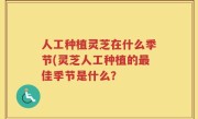 人工种植灵芝在什么季节(灵芝人工种植的最佳季节是什么？