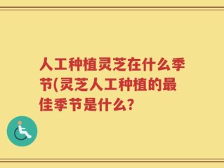 人工种植灵芝在什么季节(灵芝人工种植的最佳季节是什么？